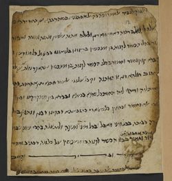12 recto
