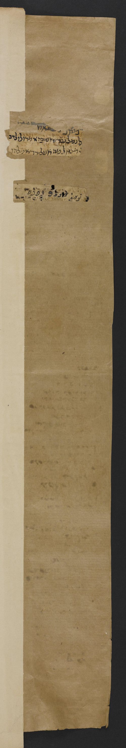25 verso