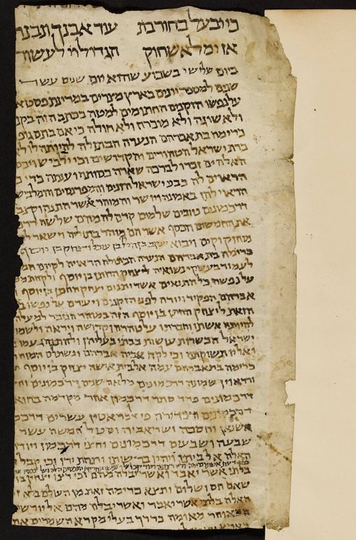 31 recto