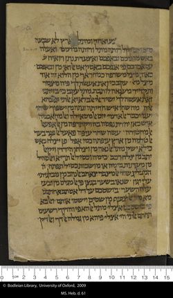 66 recto