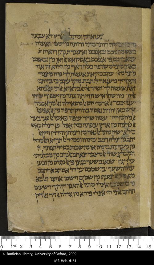 66 recto
