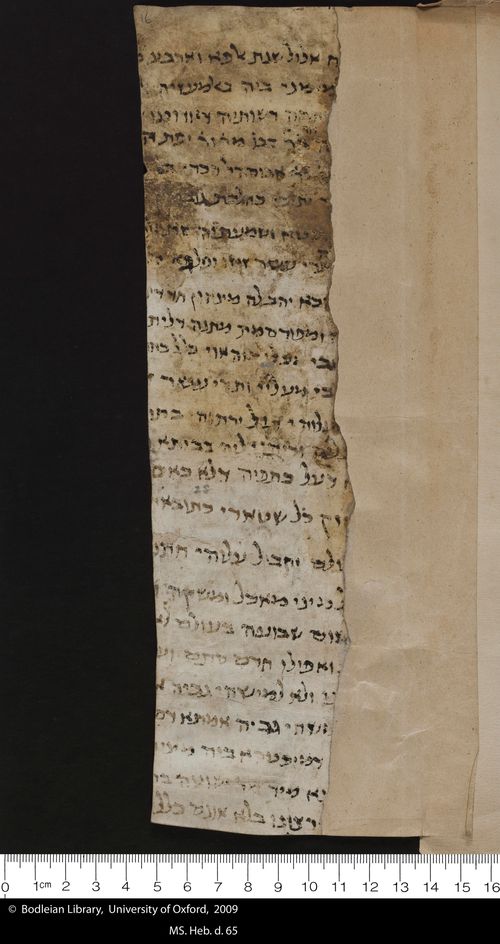 16 recto