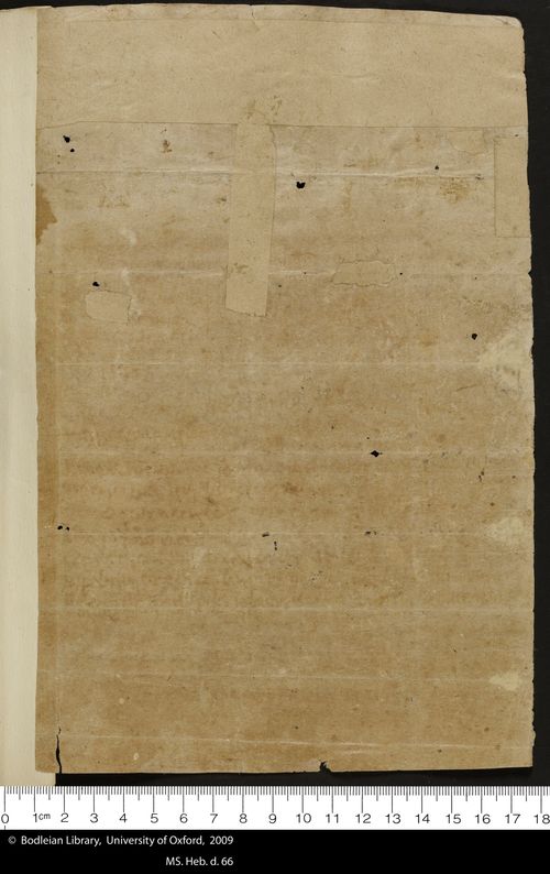 11 verso