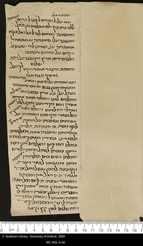 20 recto