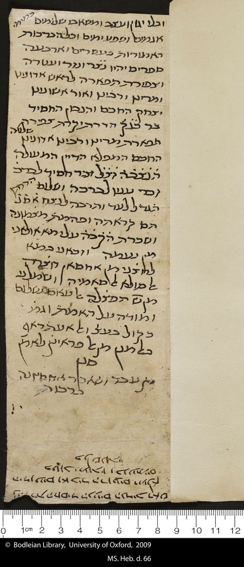 20 verso
