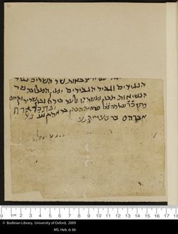 31 recto