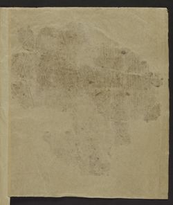 43 verso