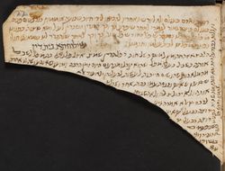 22 recto